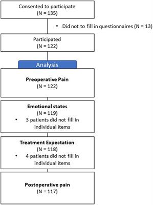 The Influence of Preoperative Mood and Treatment Expectations on Early Postsurgical Acute Pain After a Total Knee Replacement